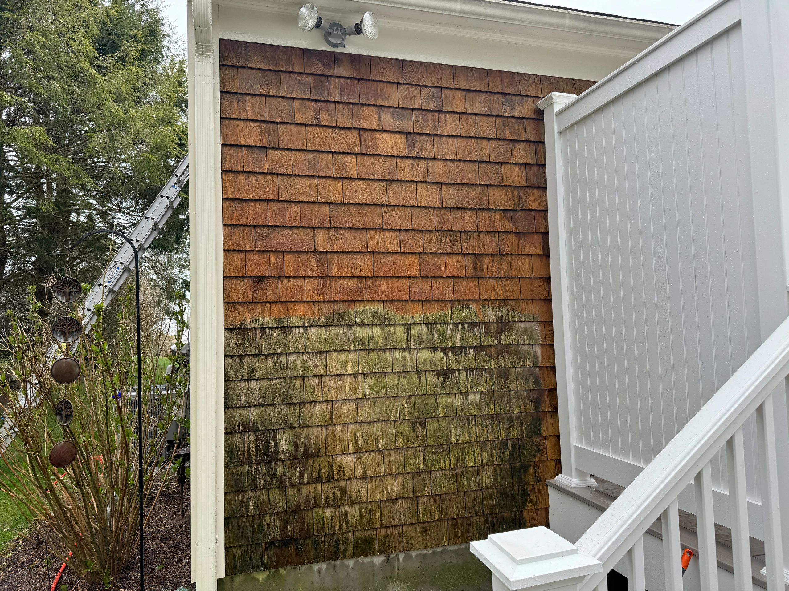 Cedar Shingle Soft Wash, Pressure Washing