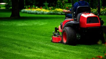 Person mowing a lush green lawn with a red riding mower.