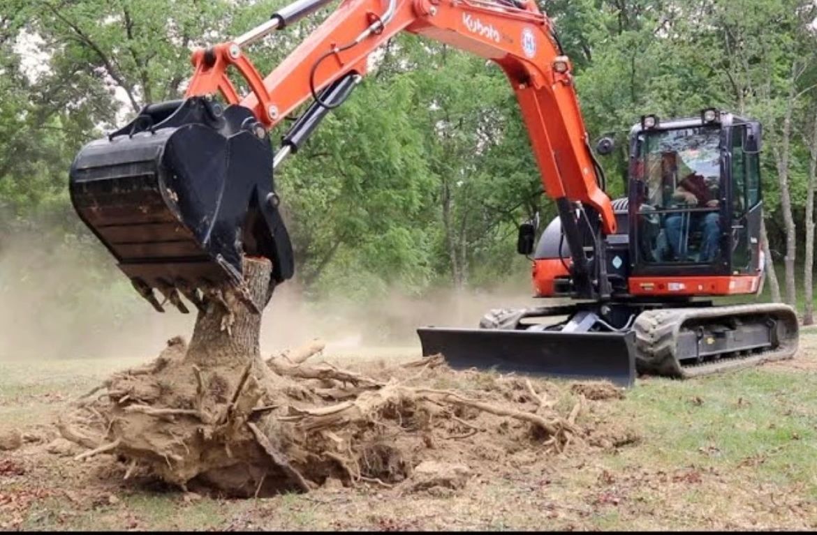 Excavator removing a large tree stump with roots from the ground in a wooded area.