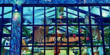 A vibrant indoor garden with plants behind large windows.