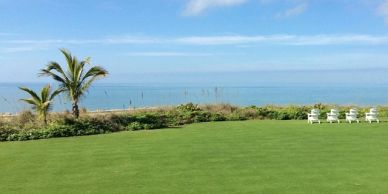Ocean view with palm trees and lawn chairs.