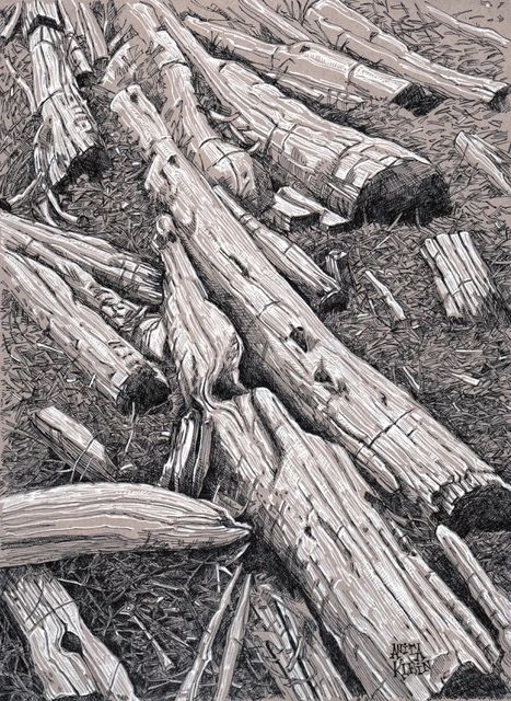 Driftwood  drawn in black and white ink  on tan paper