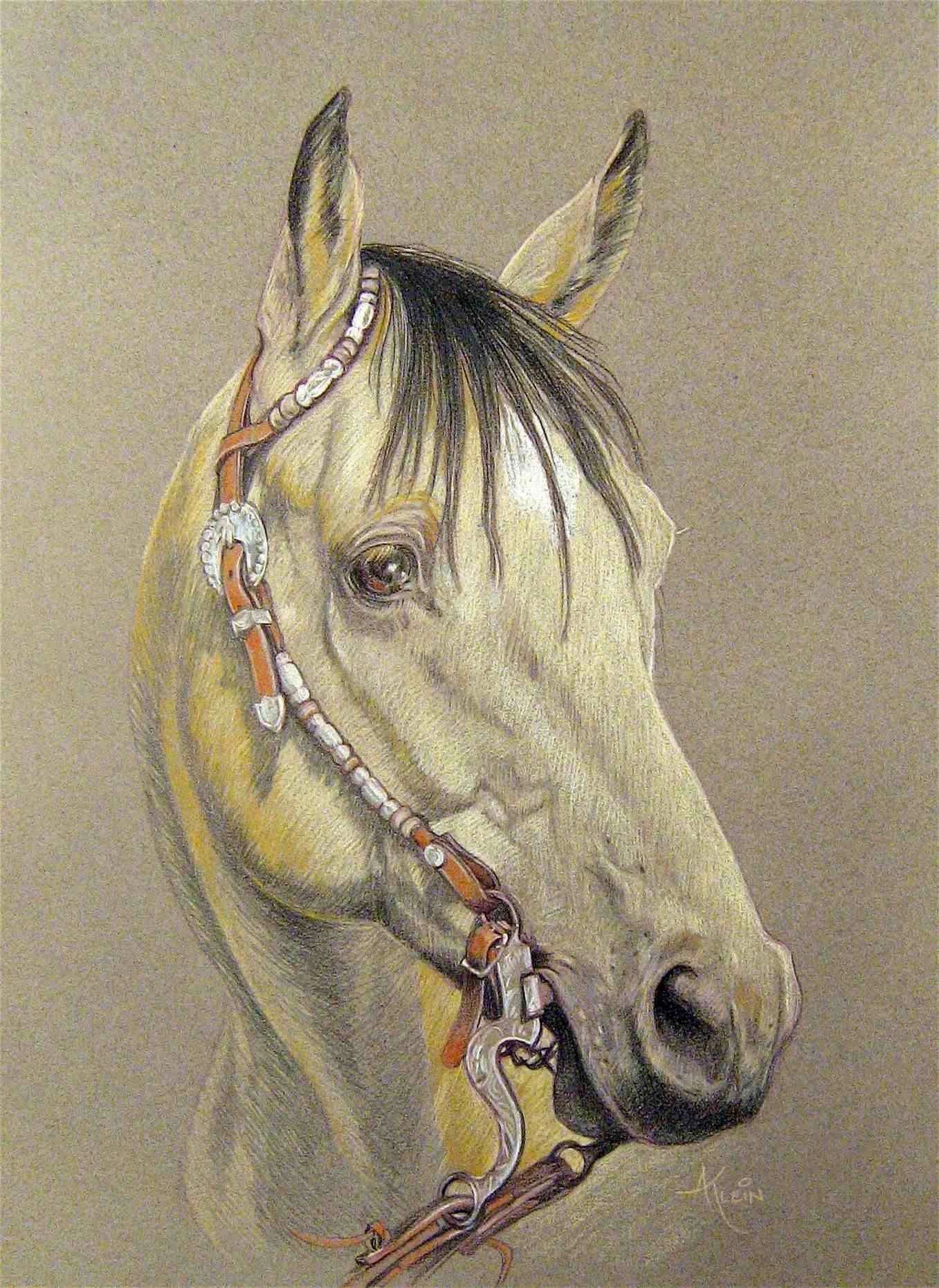 Buckskin horse portrait