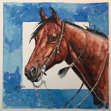 Bay horse