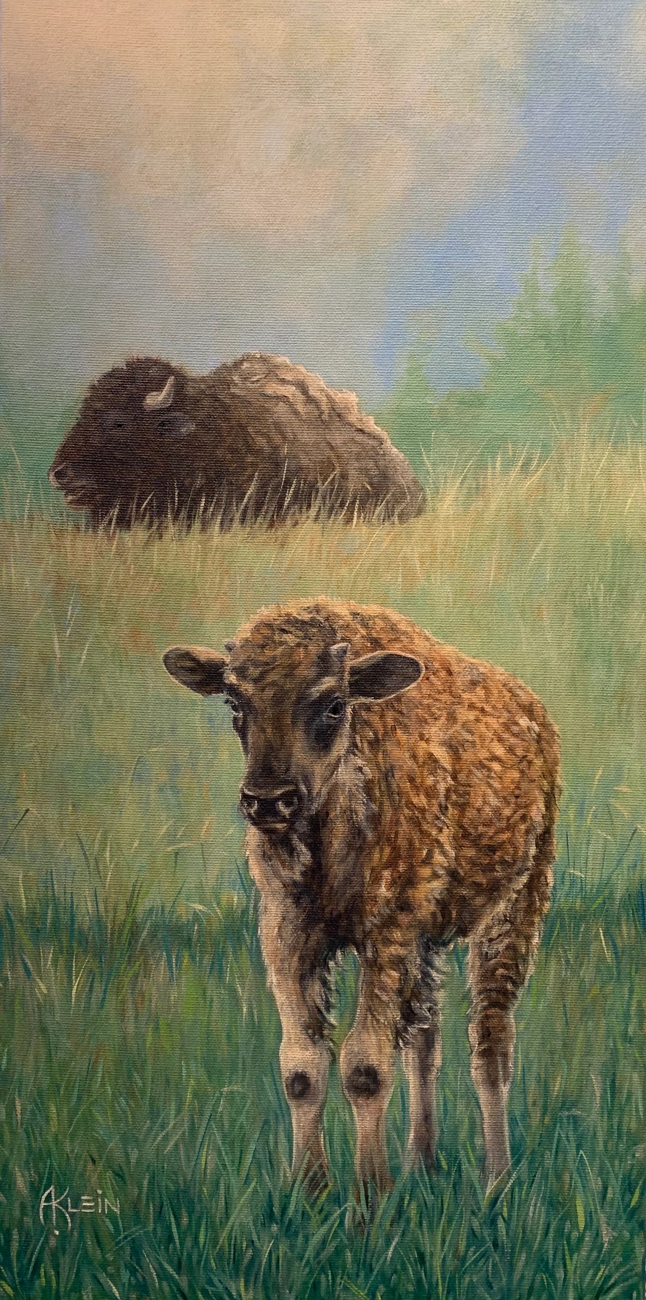 Buffalo calf and cow