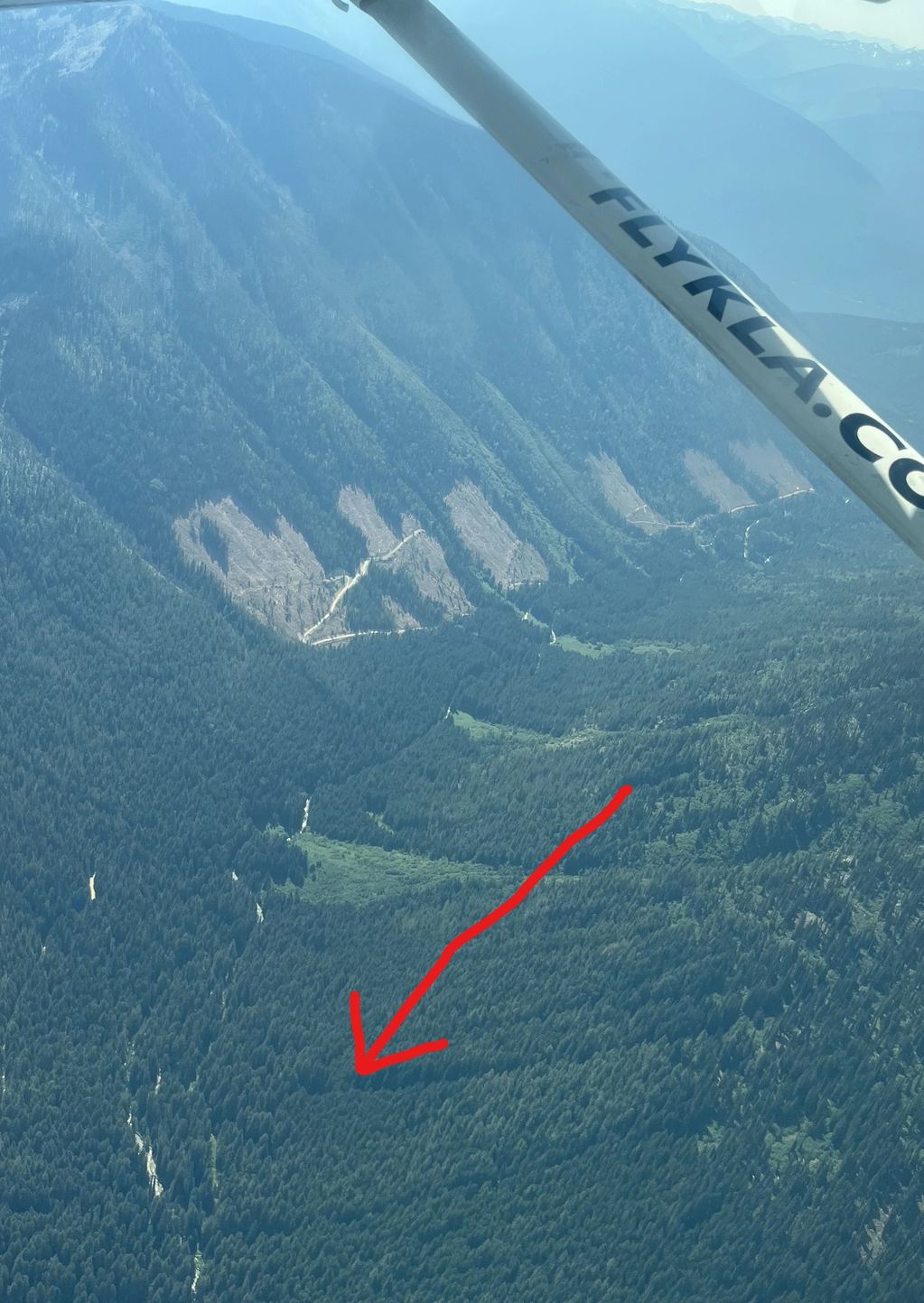 BCTS Logging in beside Kokanee Provincial Park