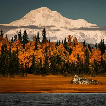 Denali, Petersville, Alaska, Fall, Autumn, Color