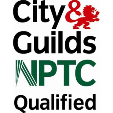 City & guilds qulified