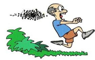 Cartoon man startled by a swarm of bees.