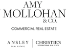 Amy Mollohan - Ansley Commercial Real Estate