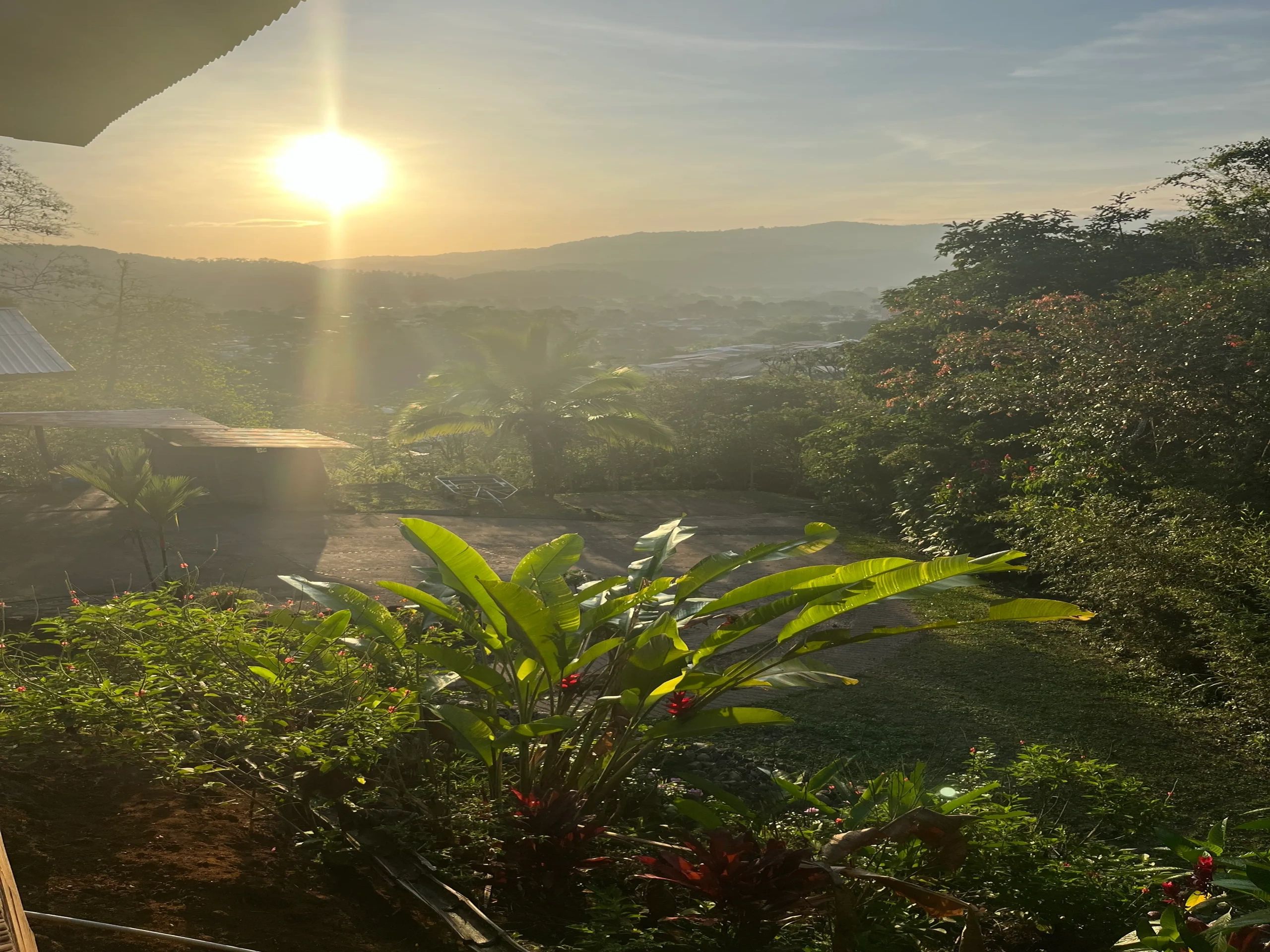 Sunrise over a lush green landscape with hills and tropical plants.