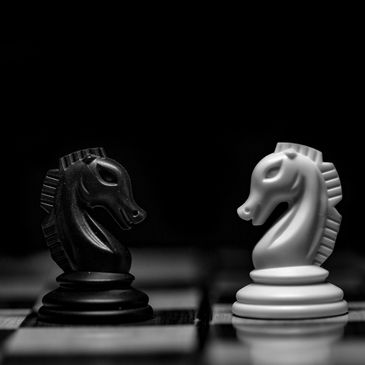 Black and white chess knights facing each other on a chessboard.