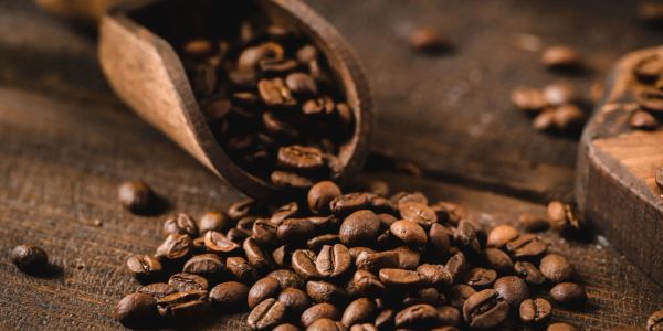 Close-up of roasted coffee beans spilling from a wooden scoop.
