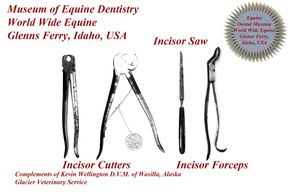 Historic Incisor Cutters, Saw and Incisor Foceps