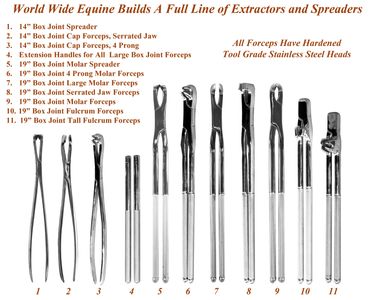Equine Dental Forceps, Spreaders and Extractors