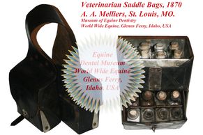 Veterinarian Saddle Bags, 1870 in World Wide Equine's Dental Museum