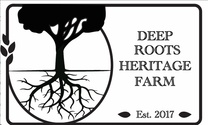 Deep Roots  Art & Farm