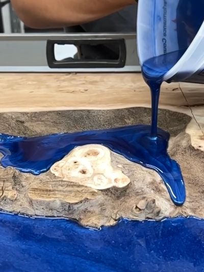 Pouring royal blue epoxy into a mappa burl table