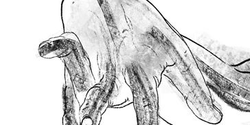 Black and white sketch of a hand with extended fingers.