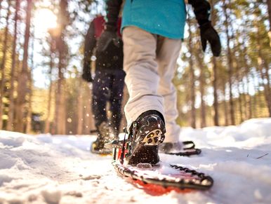 Close-up of two people snowshoeing through a sunlit snowy forest.