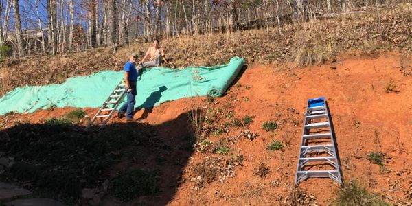 Meadowscaping erosion control using native wildflowers clay bank slope seed steep grasses pollinator