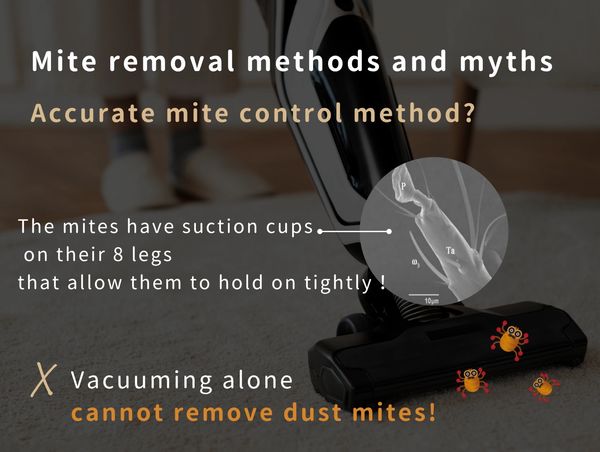 Mite removal methods and myths Accurate mite control method?