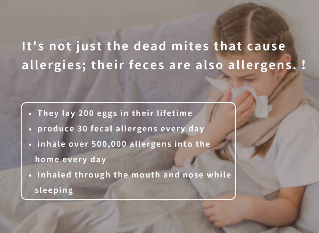 It's not just the dead mites that cause allergies; their feces are also allergens. !