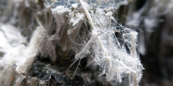 Asbestos under a microscope