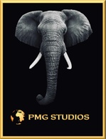 PMG Studios
