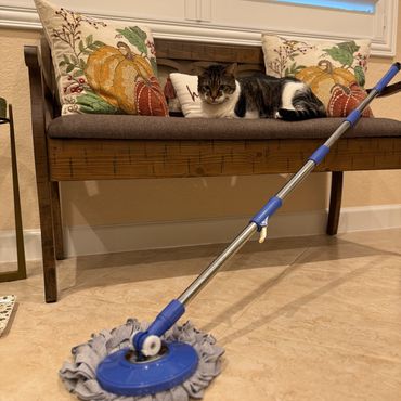 Professional housekeepers in Miami-Dade County. Pet-friendly clean service by Berry Maids