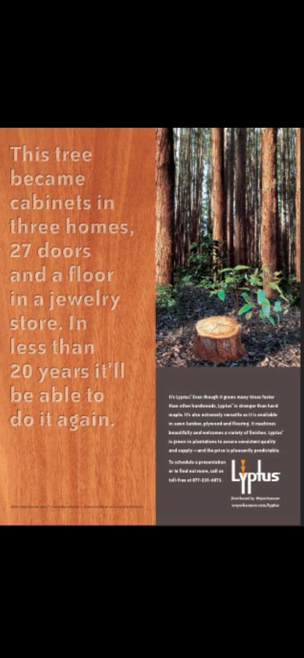 We use only plantation grown, sustainable Lyptus figured tropical hardwood in our products.