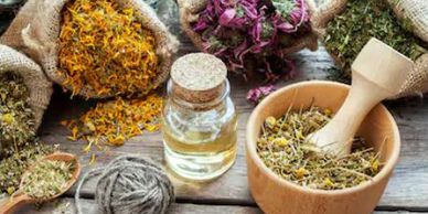 Herbs Processing Burlap Sacks California Terpenes Terpene Essential Oils Oil Health Wellness