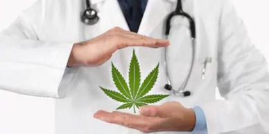 Cannabis Hemp Doctor Recommend Rec Medical California Terpenes Terpene Essential Oils Oil Health Wellness