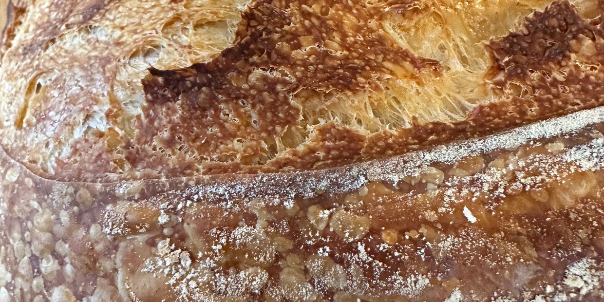 Sourdough Blistered Bread crust
