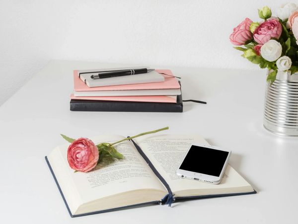 virtual spiritual life coaching vedic Holistic Coach Dallas TX, self-care healing coaching near me