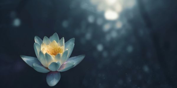 Learn the simple and effective way to bring your attention to the present moment guided meditation