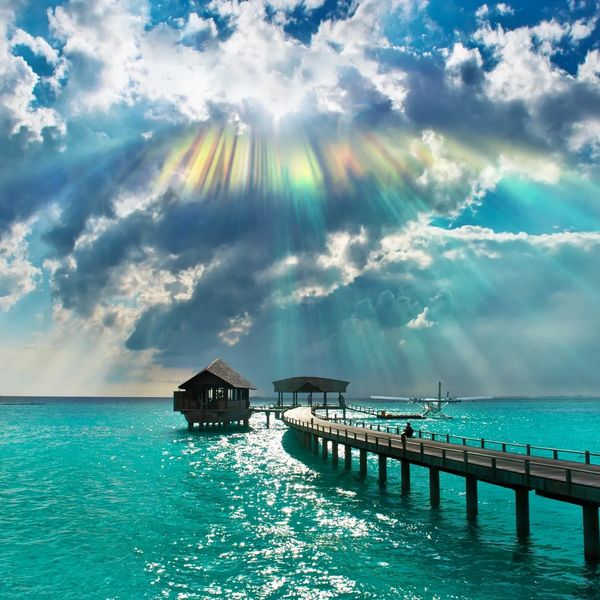 best online life coaching services, vedic life coaching