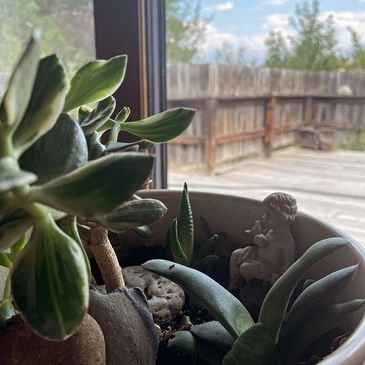 Jade plant with guardian Angel.