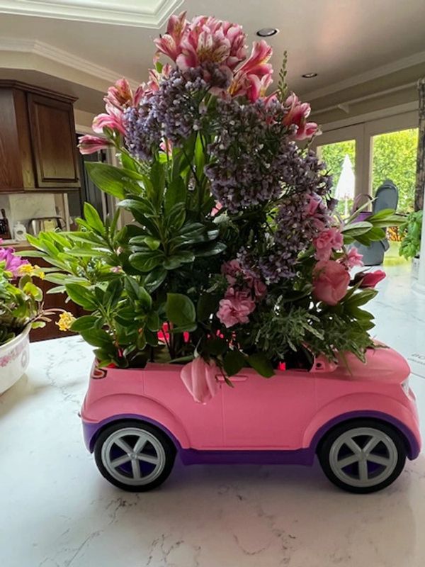 One of our beautiful plants for sale!