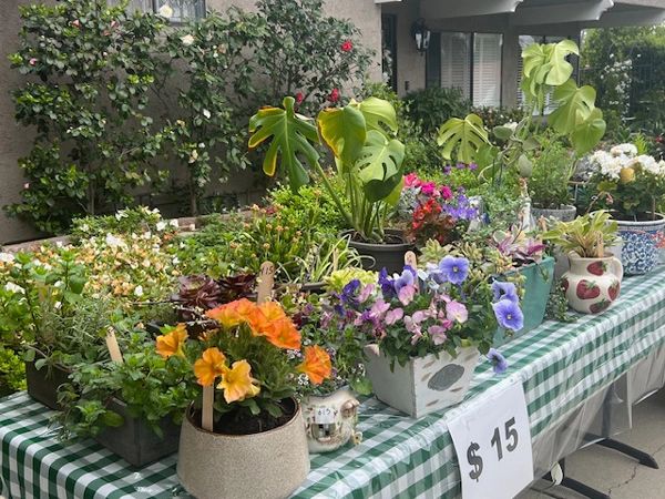 Just a few of the plants we had available for customers to purchase.