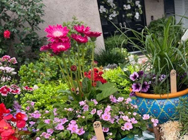 Look at these beautiful plants!