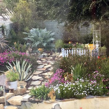 backyard garden with a va plants and variety of plants and blooming purple and white flowers