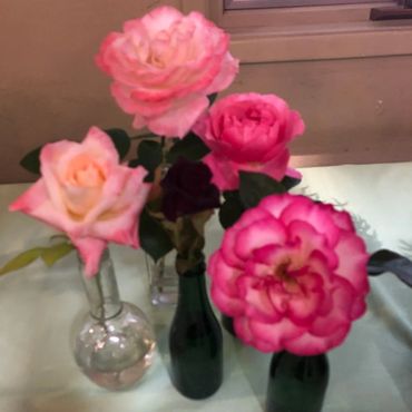 Pink roses in vases.