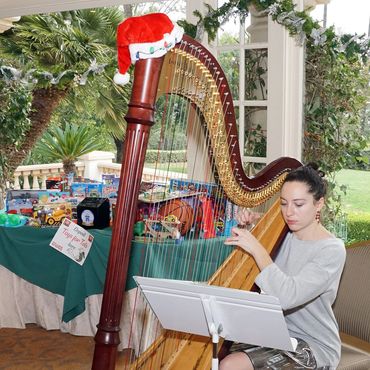 Harpist Playing