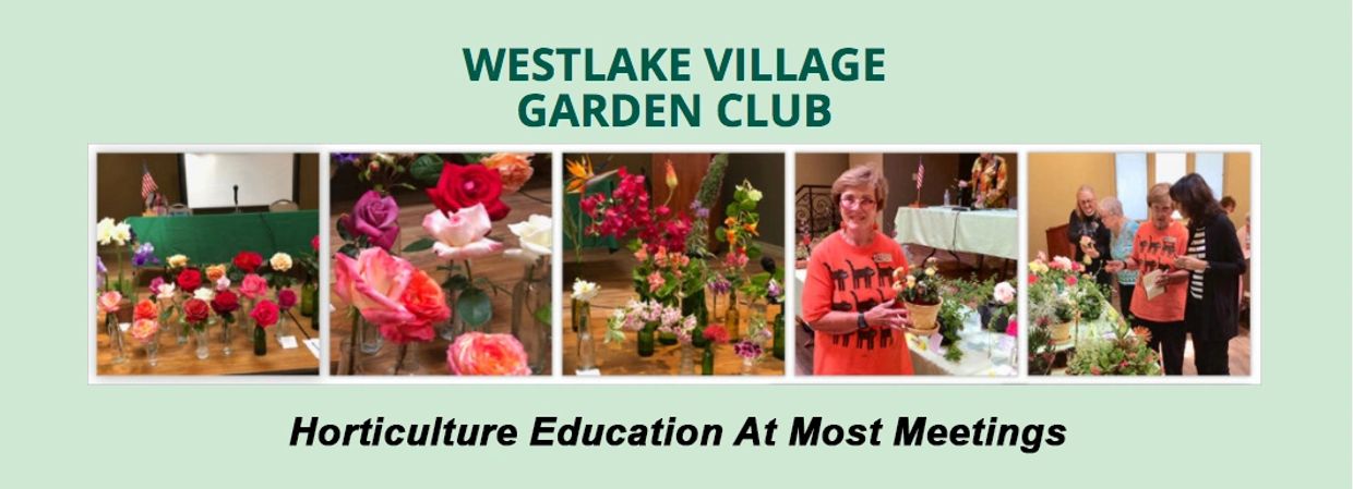 Westlake Village Garden Club has horticulture education at most meetings.
