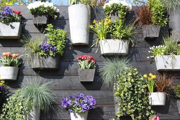 many varieties of plants and flowers in planters on a wood fence