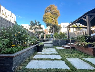 Garden: Gain responsibility, patience and awareness about the importance of the environment.