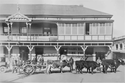 Merrylees Hotel Dannevirke circa c. 1918 bullock draw carriage wooden pub New Zealand