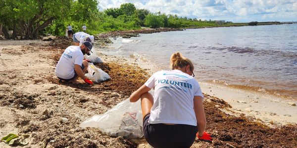 volunteers cleaning-up the beach of bayahibe, removing trash, debris and plastic waste in our event