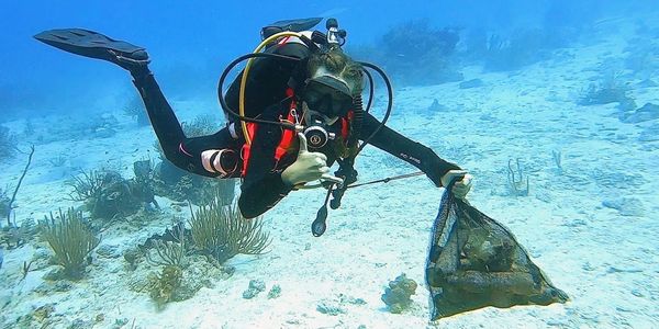 scuba diver holding a bag of trash, debris, plastic waste during a dive clean-up in saona island